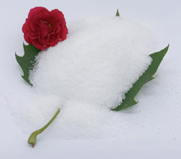 किं प्रकारं पोलाक्रिलामीदं अधिकाधिकं विधानं कार्यस्थानं नियन्त्यन्तां करोत्?