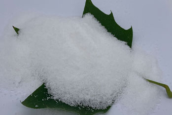 Polyacrylamide (PAM) Selection and Performance in Urban Wastewater Treatment