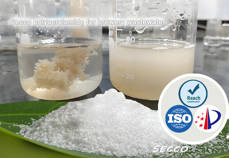 Polyacrylamide (PAM) इत्यस्य Brewery Wastewater Treatment इत्यस्य चित्रणमपृथ्वं चीयतामश्च