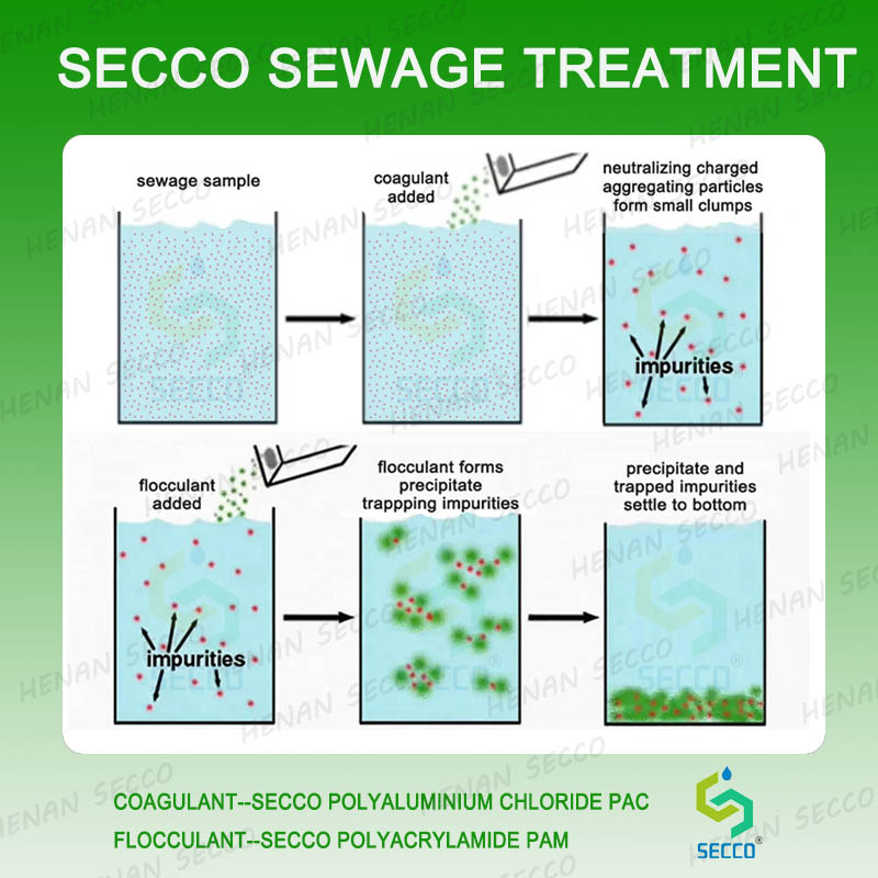 How should one operate when using polyacrylamide and polyaluminium chloride for wastewater flocculation and sedimentation treatment?